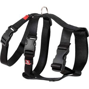 ARNES NYLON TRIPLE GALGO NEGRO 